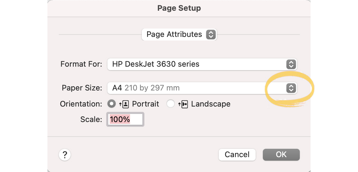 Step-by-step guide to setting up a newspaper template in Word for Mac